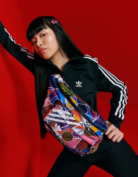 Сумка Adidas RICH MNISI Waistbag L HD7059