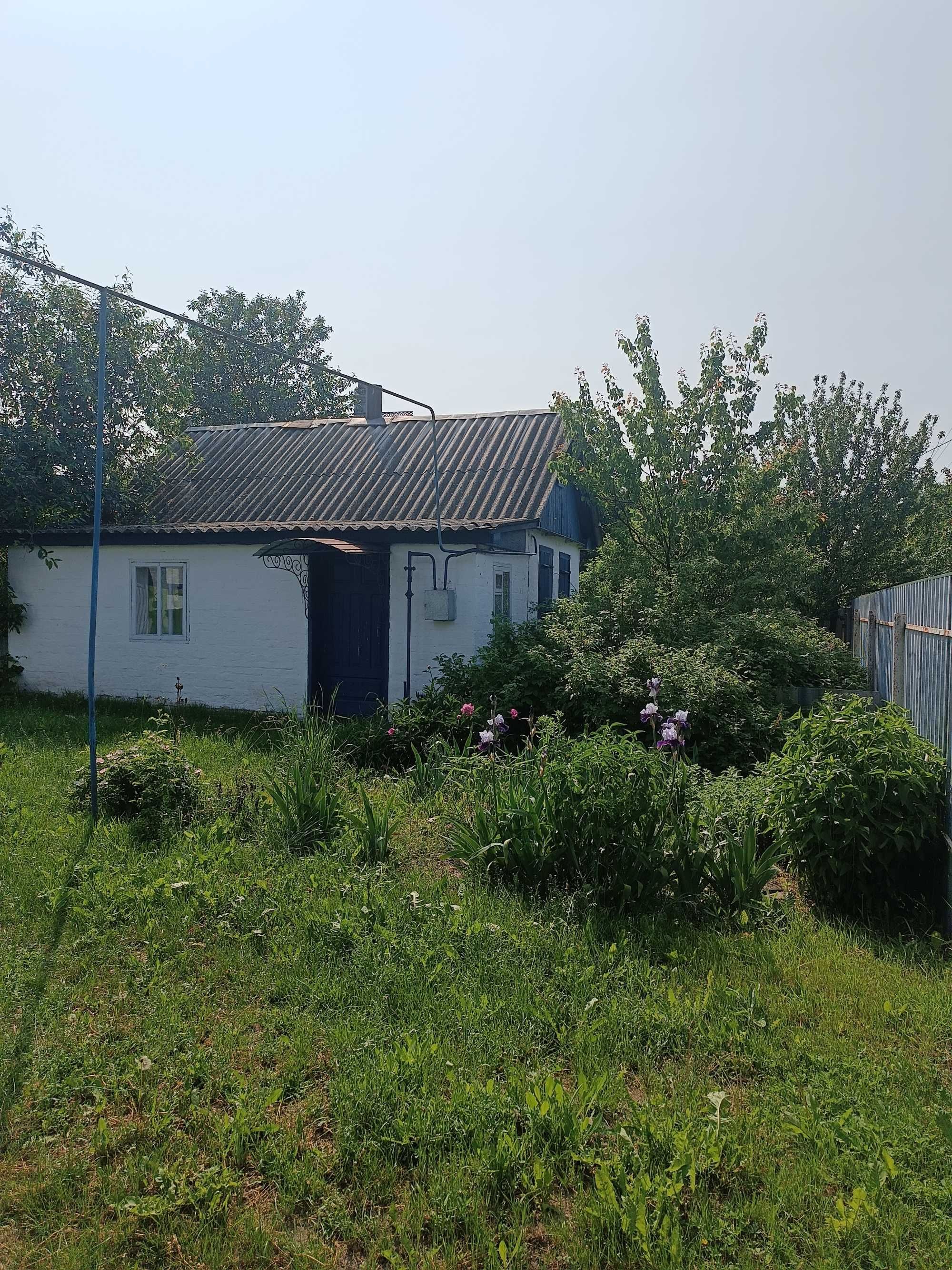 Продається господарство