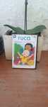 DVD "Ruca - Sempre a brincar"