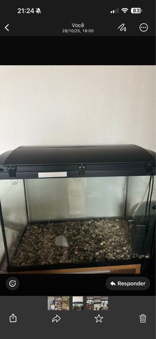 2 aquarios para desocupar espaço