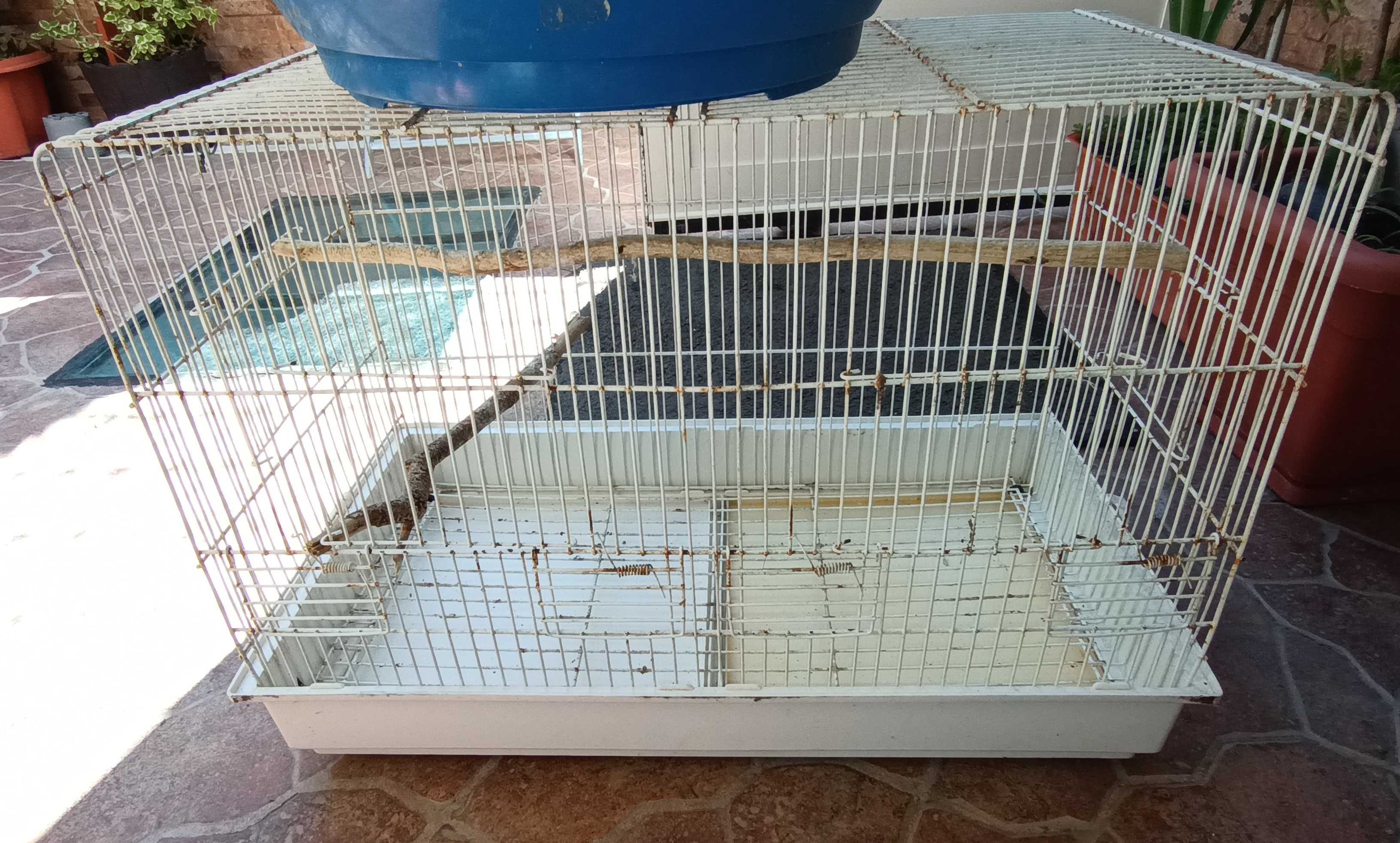 Gaiolas para Aves