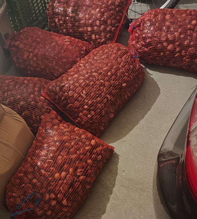 Castanhas biológicas