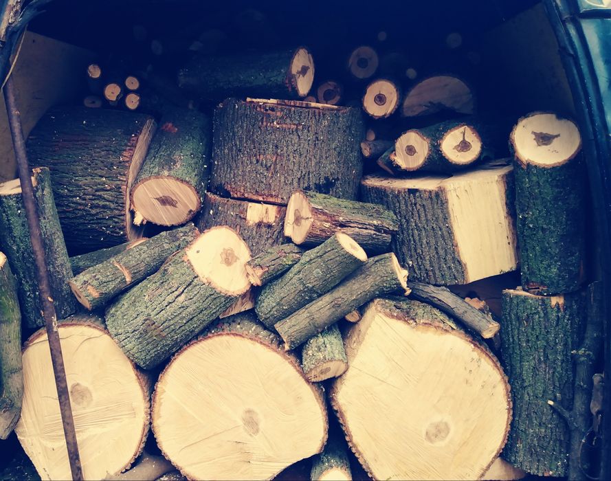 Дрова твёрдые и мягкие сорта.