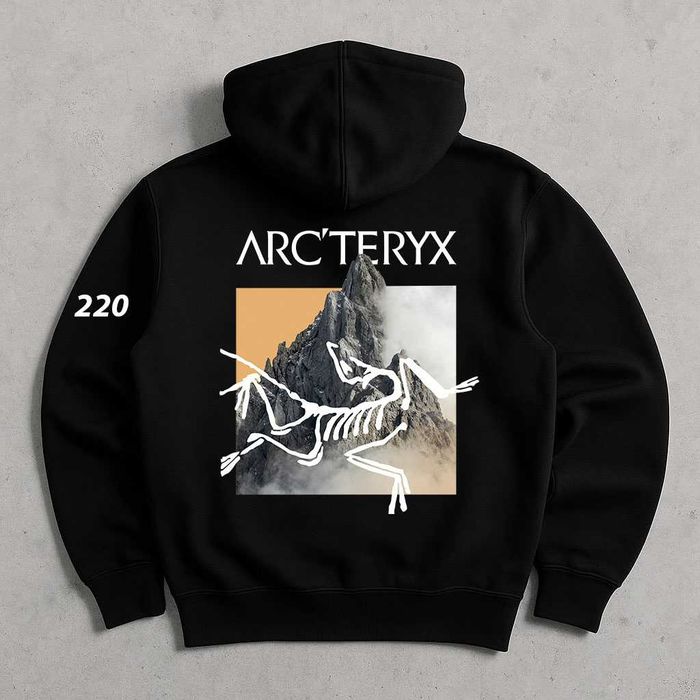 Биг Лог Принт • Arcteyx Худи Черное • MultiBird • Артерикс Кофта Чорна