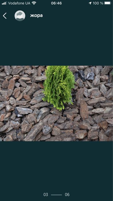 Кора соснова  оброблена .Знаходиться в Кропивницькому