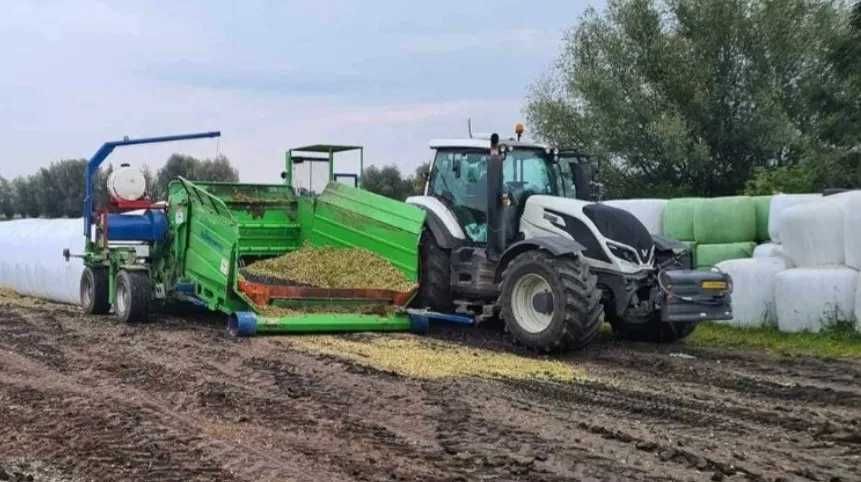 Śrutowanie gniecenie mielenie pakowanie zakiszanie w rękawy foliowe