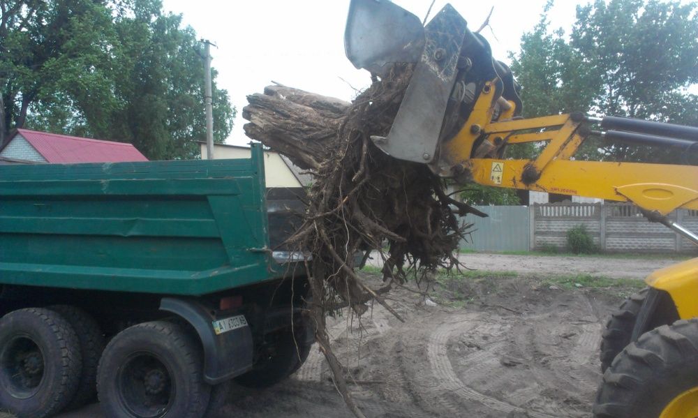 Зрізання дерев Розчищення прибирання корчування Вирівнювання ділянки