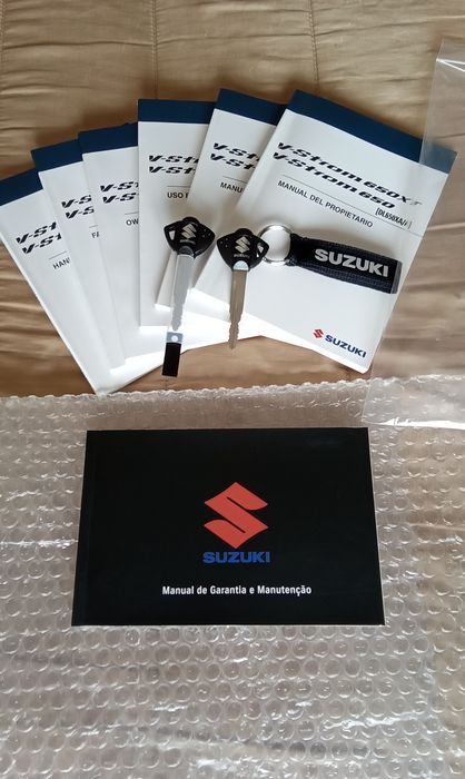 Suzuki Vstrom 650 ano 2024