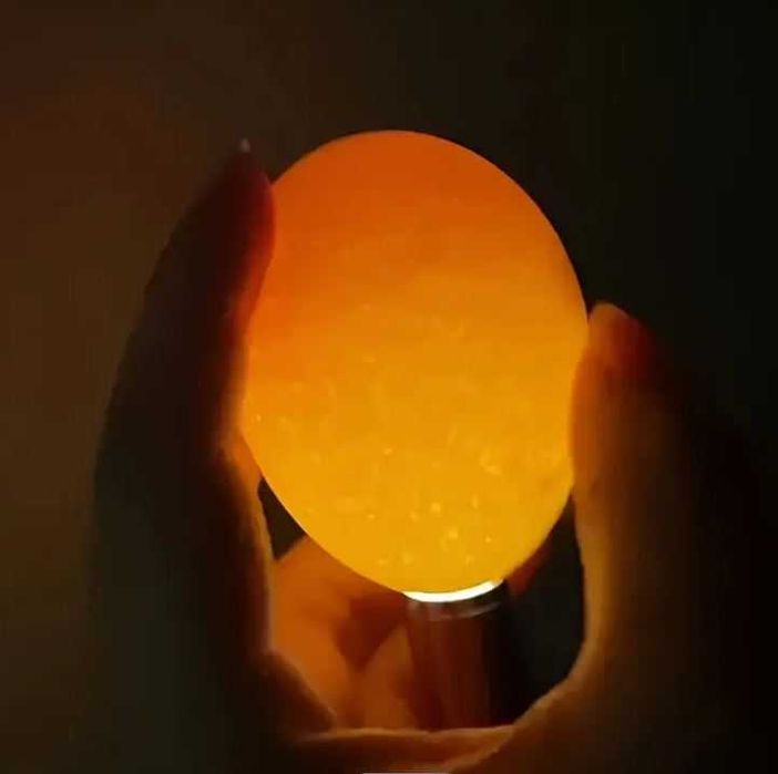 Mini Lanterna Inox Incubação Ovos