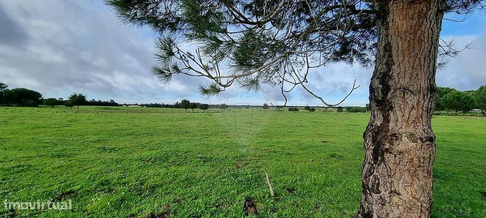 Terreno  para venda