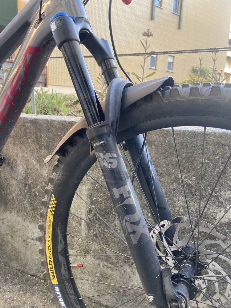 Orbea occam