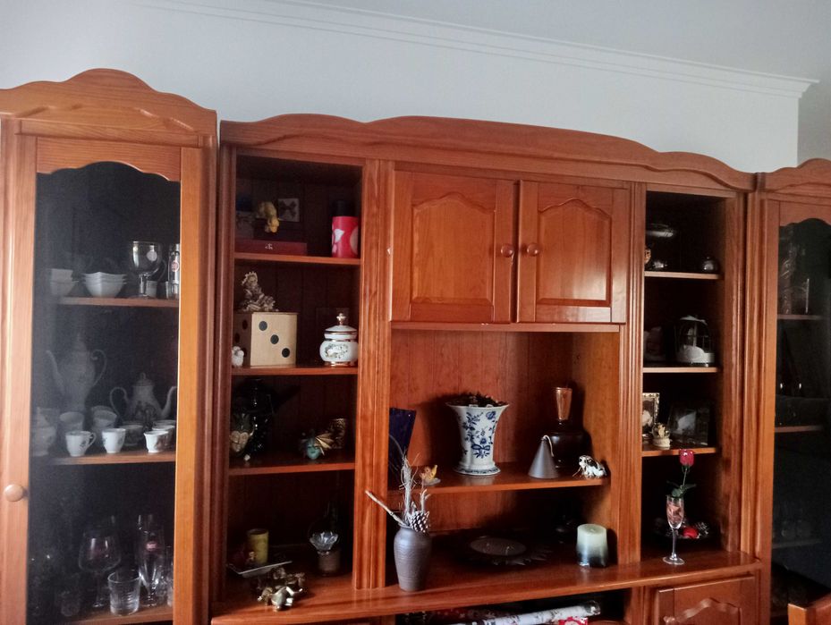 Móvel de Sala em Excelente Estado