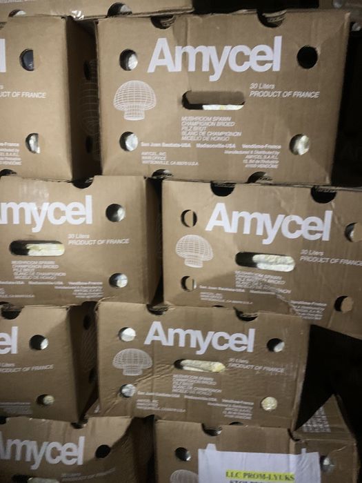 Мицелий Шампиньона / міцелій печериць 1кг Amycel Exxcalibur