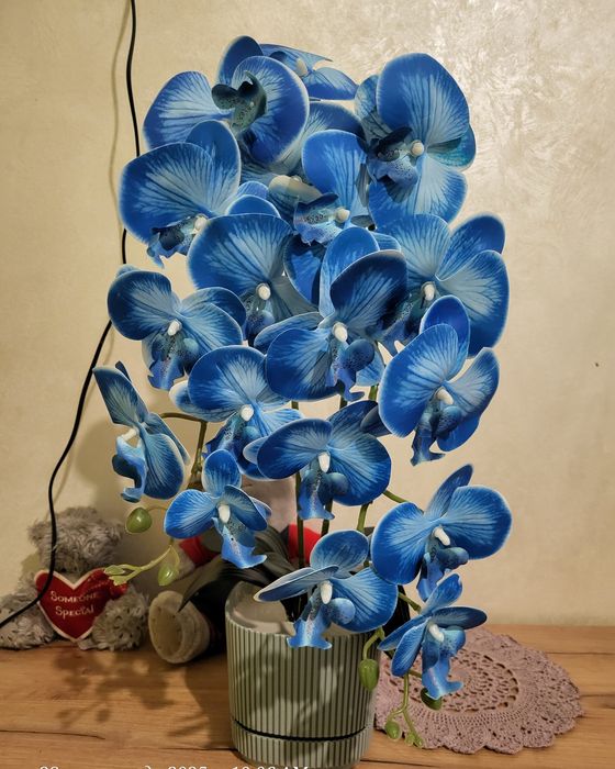 Орхідея латексна  !!!