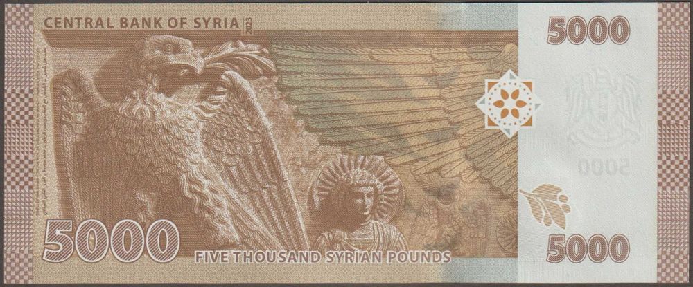 Syria 5000 funtów 2023 - stan bankowy UNC