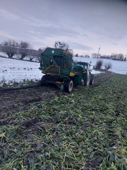 Kombajn do buraków neptun rozdzielacz  przekładnia taśma listwa