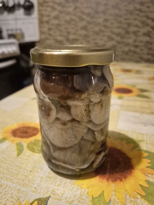 Opieńki w zalewie octowej