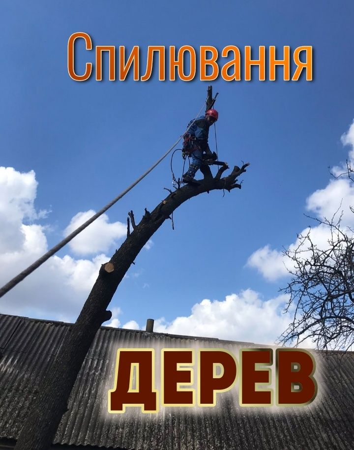 Спиляти дерево, Спилить дерево, Обрізка дерев, Розчистка території,