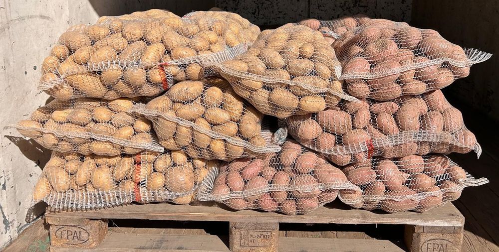 Ziemniaki jadalne i odpadowe Ricarda, Queen Anna ilości hurtowe