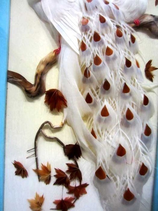 Винтажная рамка-витрина из настоящего павлиньего пера Перламутр