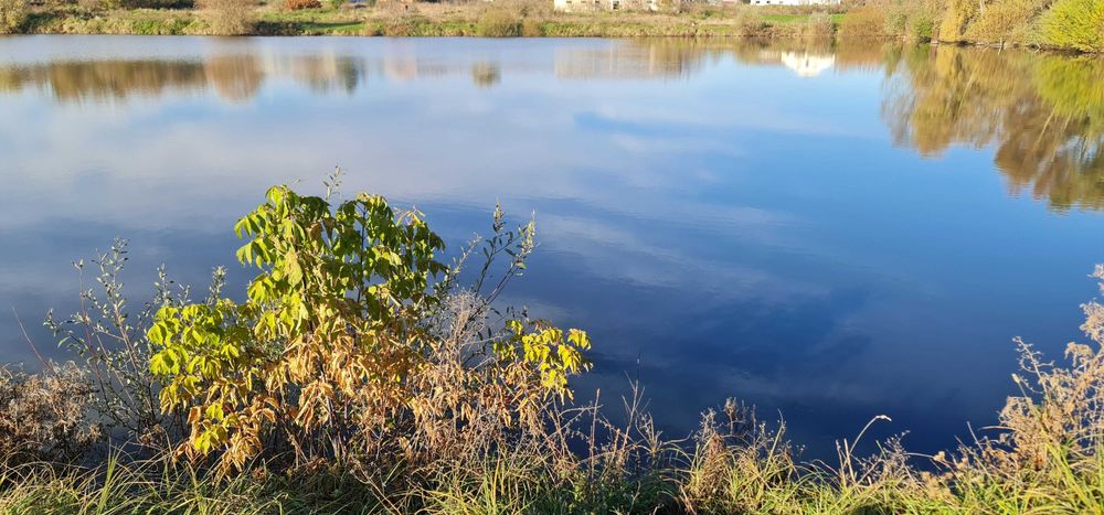 Продам Будинок с.Вихилівка, 30сот землі