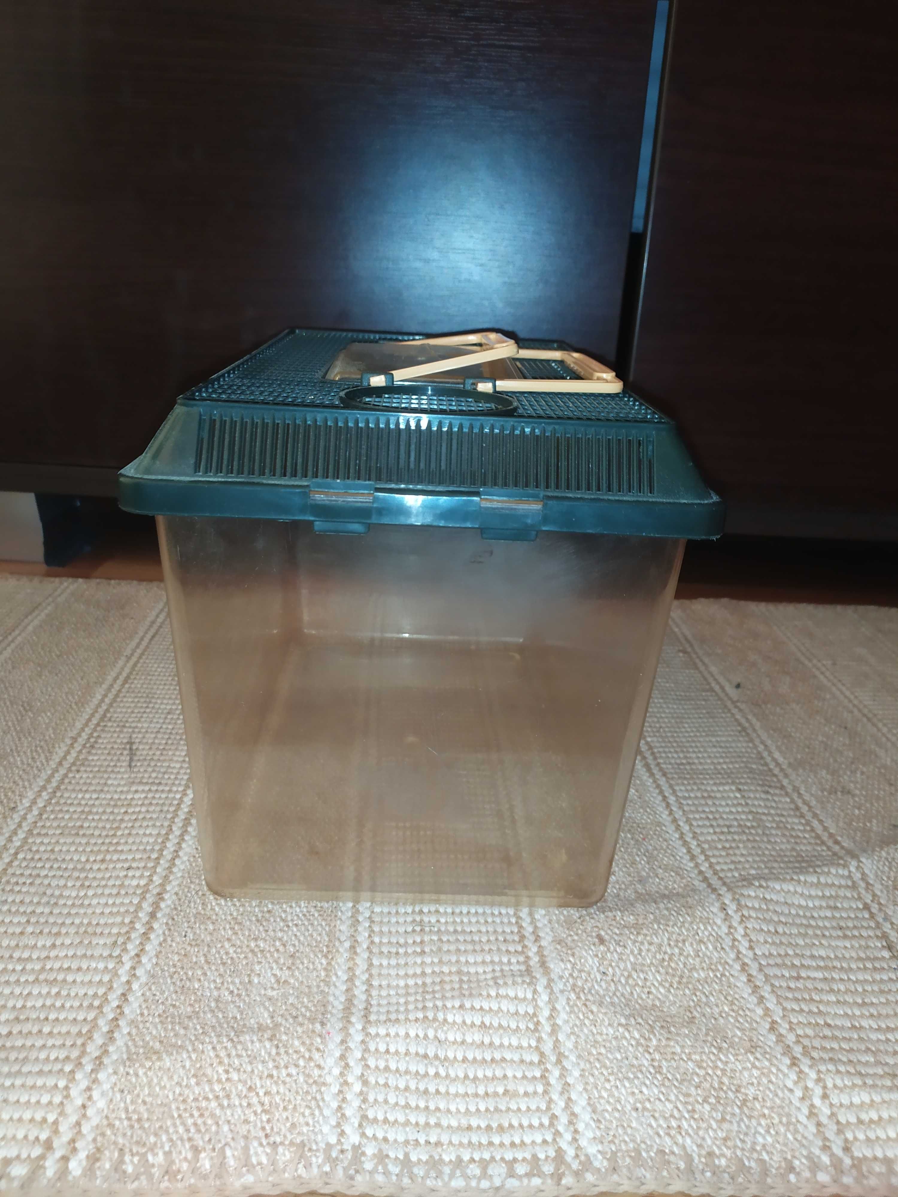 Terrarium dla jaszczurek