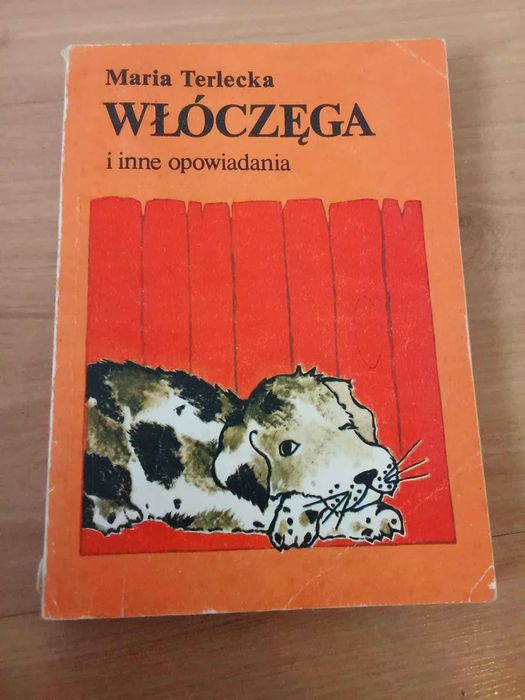 Włóczęga i inne opowiadania - M Terlecka