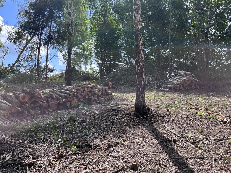 Wycinka drzew za pozyskany materiał czyszczenie dzialek mulczer sady