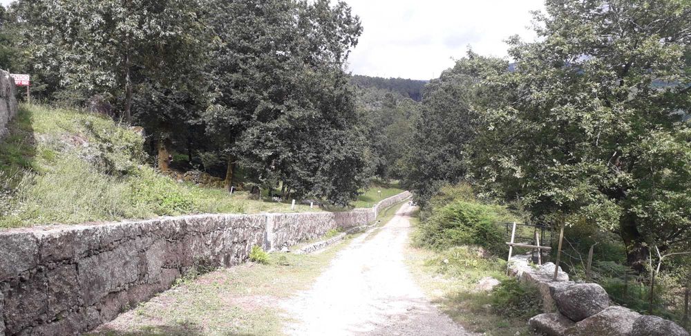 Propriedade com ca. 5 ha em Vieira do Minho