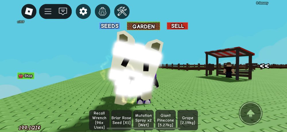 Єнот / Raccoon / Pets Grow a Garden Roblox