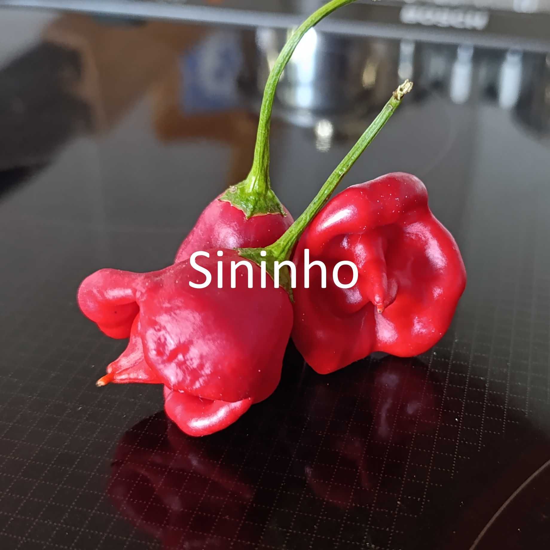 Sementes Pimentas