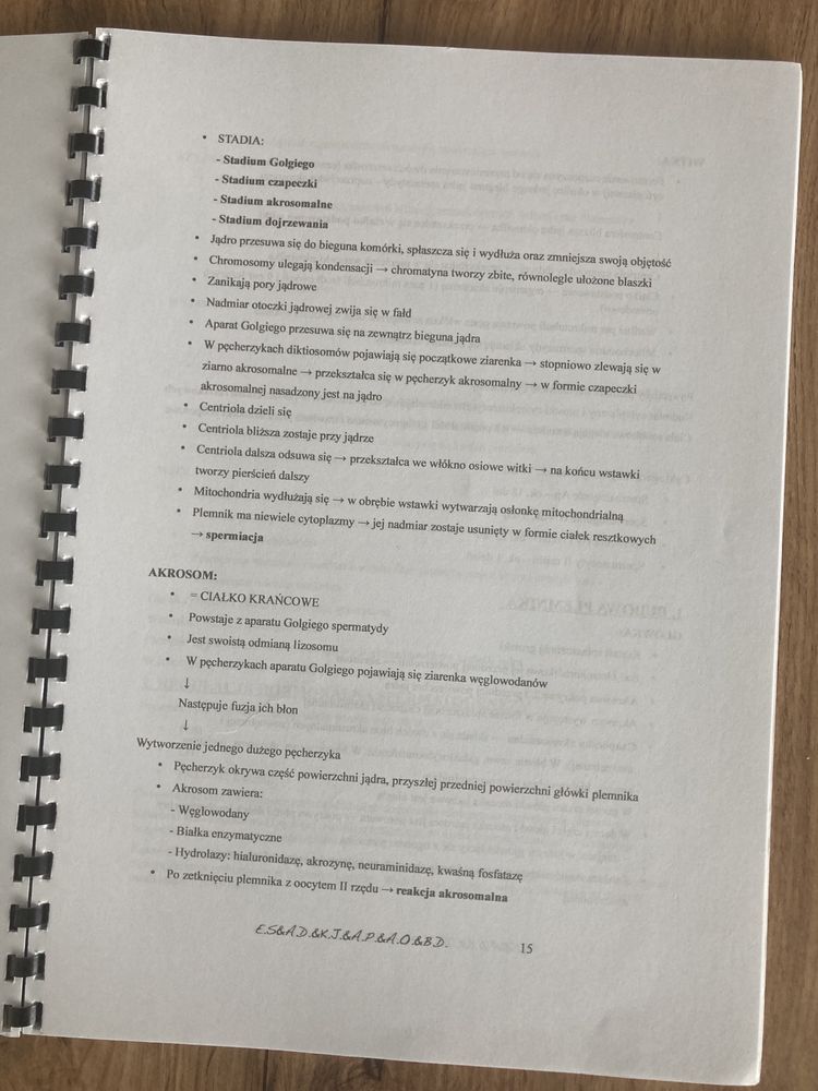 Skrypt z embriologii Kobiety z piekła rodem