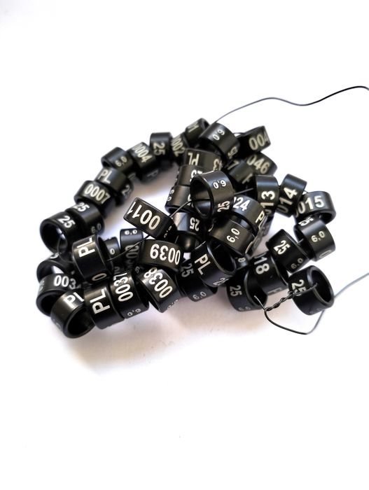 Obrączki aluminiowe dla papug 2025 czarne, obrączki stałe, rodowe