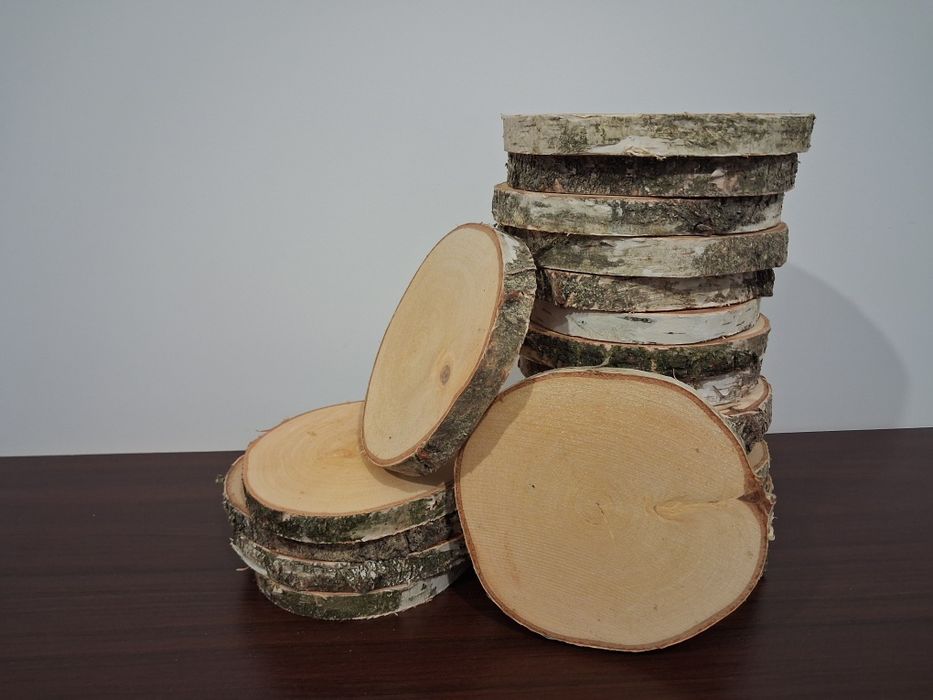 Plastry brzozy ŚR 12-15 cm