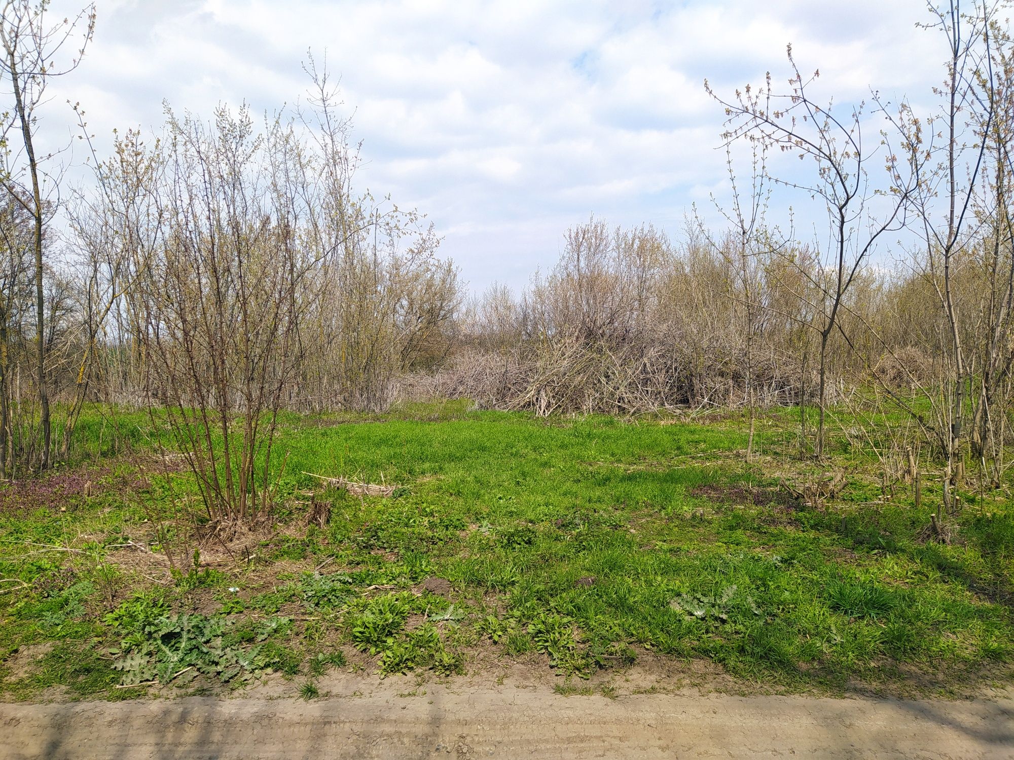 Продаю земельну ділянку із глиняним будиночком