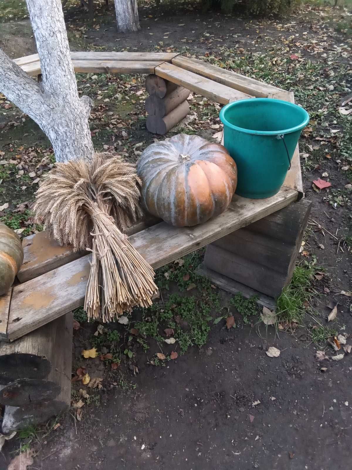 солома в тюках  пшенична. сіно лугове