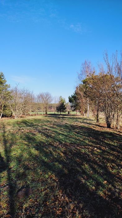 Продам дачу (хутір).