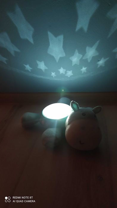 Fisher-Price Uspokajacz Szumiś Hipcio z Projektorem CGN86