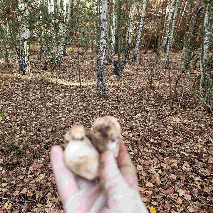 Земельна ділянка з гаражем та фундаментом під забудову
