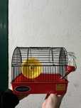 Gaiola / transportadora hamsters roedores