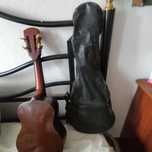 Cavaquinho Brasileiro
