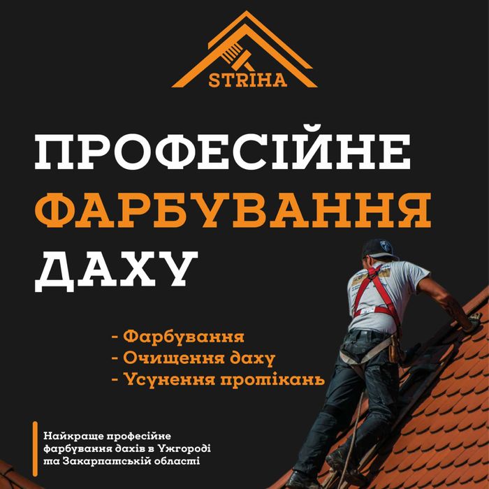 Фарбування дахів Берегове, Берегівський район, Закарпаття. Миття дахів