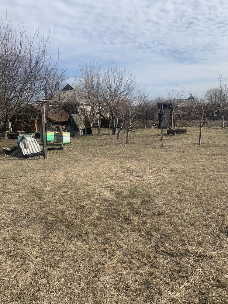 Дом в Васищево