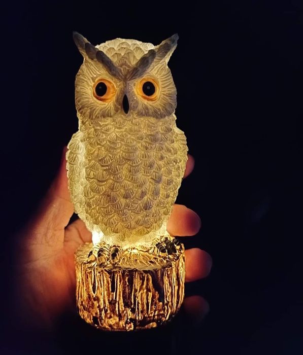 Mocho Coruja Solar para jardim suculentas orquídeas hoya jade plantas