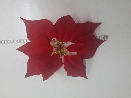 Gwiazda betlejemska  duża 24 cm ZAMSZ