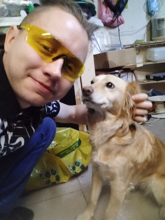 Передержка животных собак кошек грызунов птиц рептилий насекомых и тд