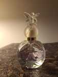 Lucky wish Anna Sui