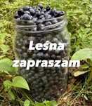 Jagoda lesna ……….