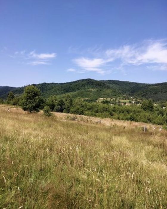 Участок 12 сотих с . Рибник