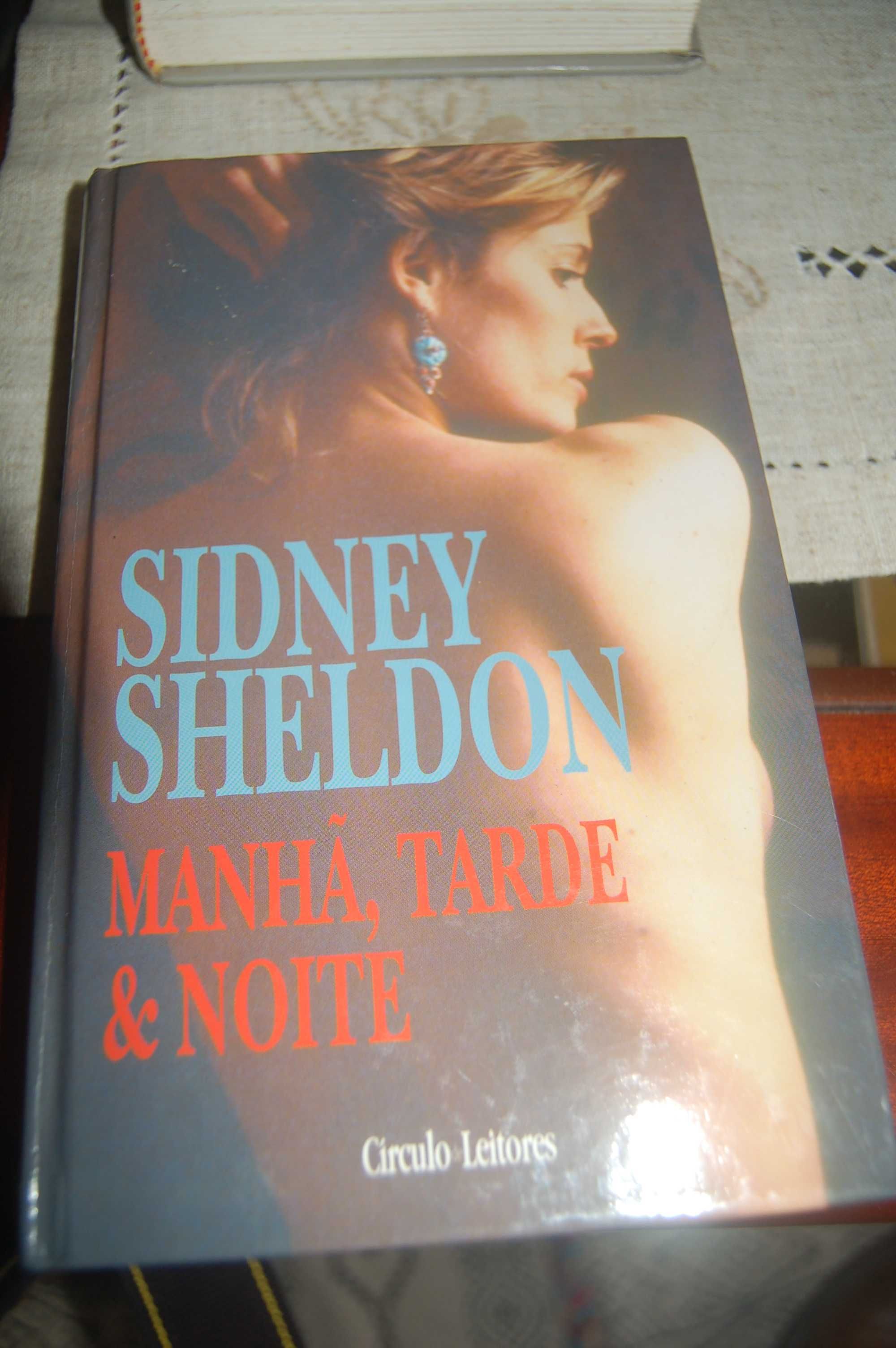 Sidney Sheldon manha tarde e noite